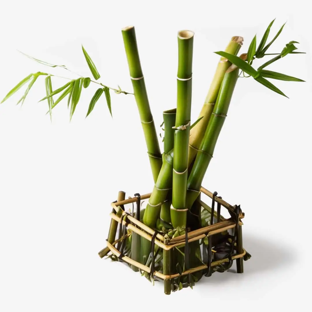 Ikebana-Arrangement mit Entgiftendes Bambus-Gesichtspeeling mit Noni und Gurke