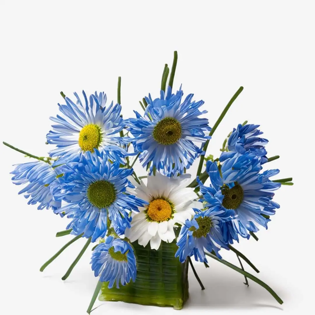 Ikebana arrangement featuring Enchanting Blue Chamomile Deo-Cream with Ylang-Ylang and Squalene