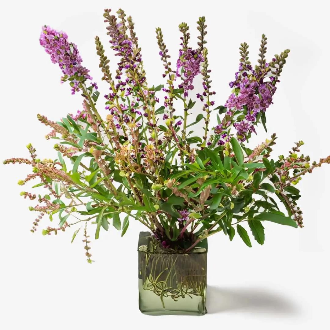 Ikebana-Arrangement mit Aufhellender Schmetterlingsflieder-Gesichtstoner mit Echinacea und Hibiskus