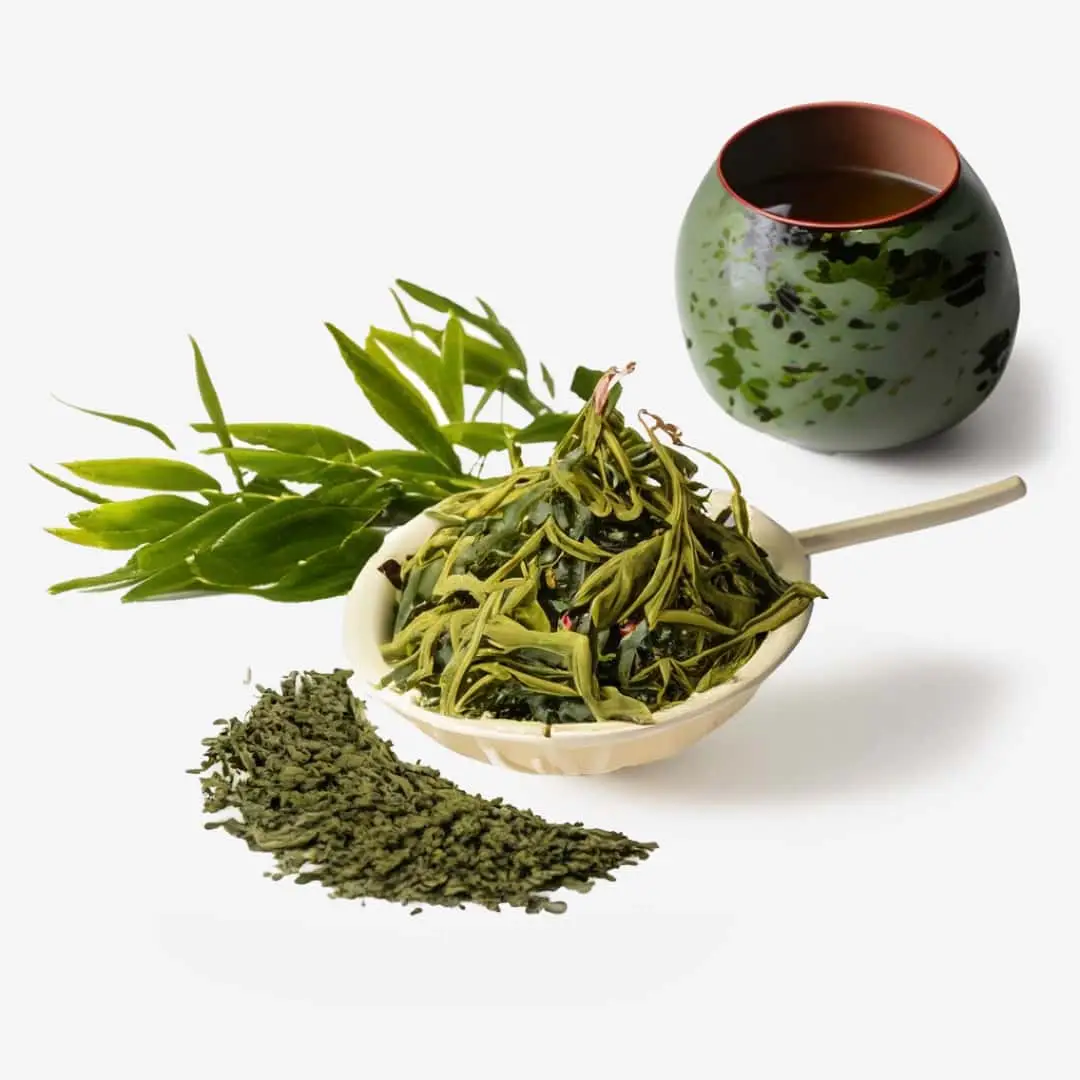 Ikebana arrangement featuring Revitalising Green Tea Body Cleanser with Aloe Vera and Vitamin C