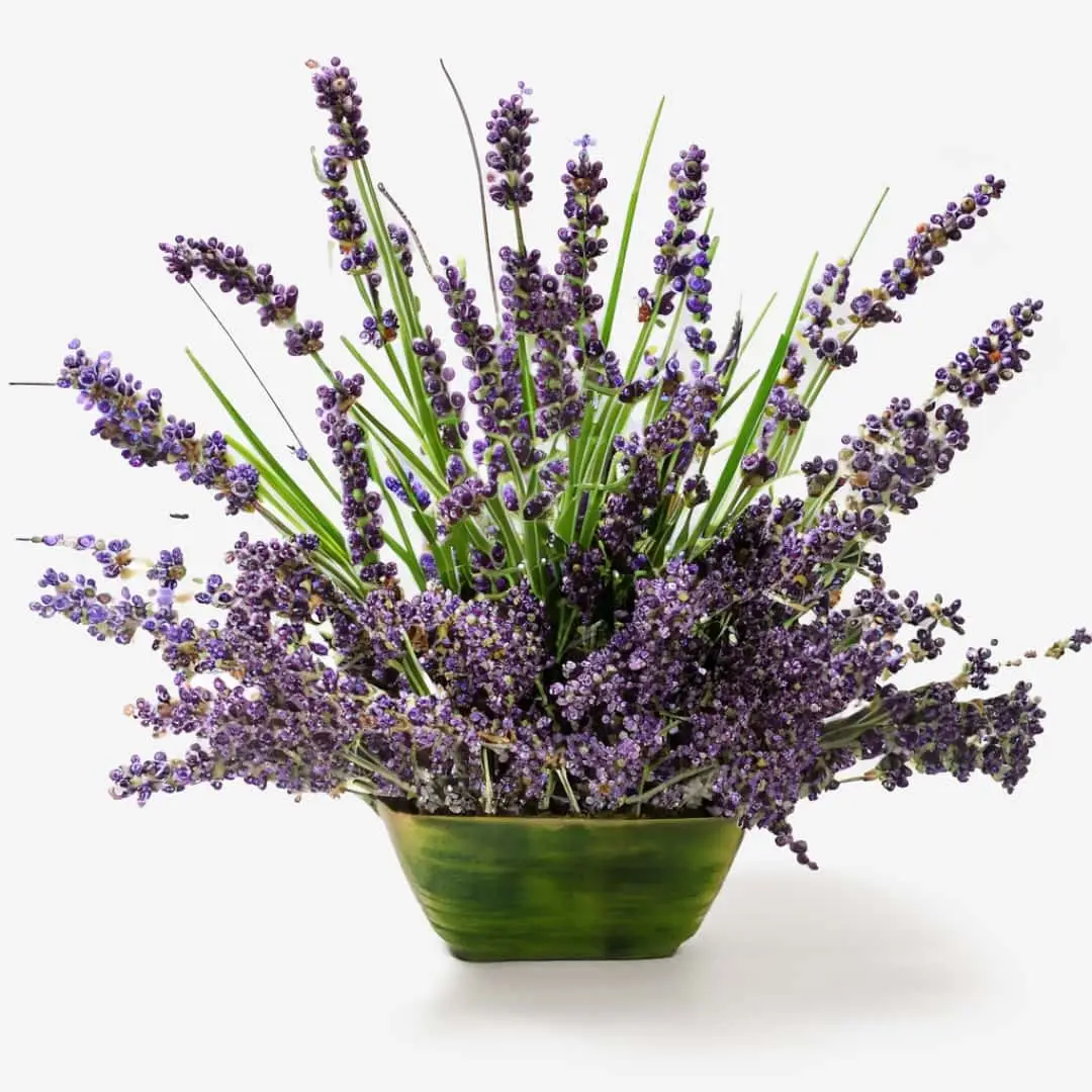 Ikebana arrangement featuring Soothing Lavender Hand Sanitiser with Blue Chamomile and Vitamin E