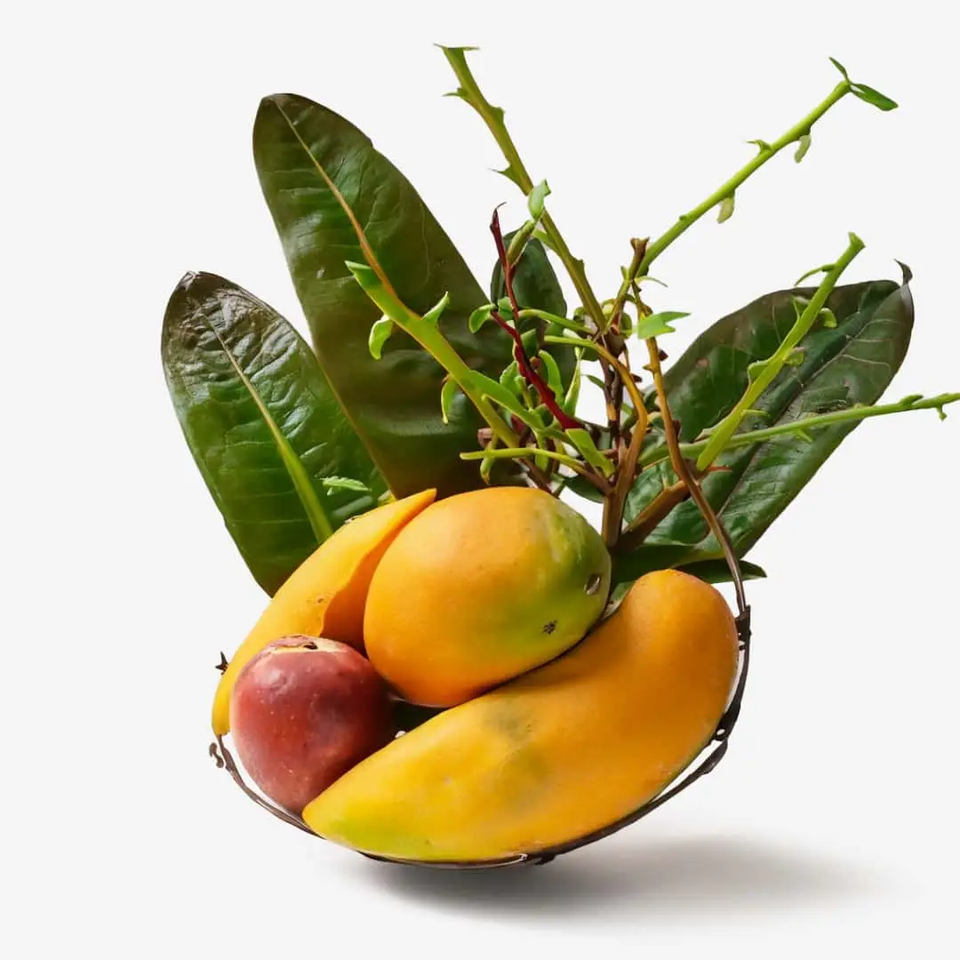 Ikebana-Arrangement mit Revitalisierende Mangobutter-Handcreme mit Ringelblume und Grüntee