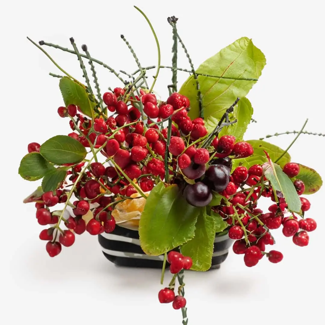Ikebana arrangement featuring Luminising Multiberry Superfood Beauty Mix with Collagen and Hyaluronic Acid