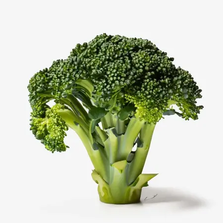 Brokkoli-Extrakt: Vitaminreicher Schutzschild für strahlende Haut