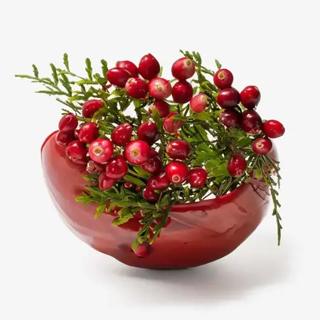 Cranberry Extract: Soothing Savior for Irritated Skin