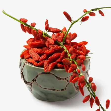 Goji-Beeren-Extrakt: Antioxidantienreicher Strahlkraft-Booster