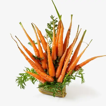 Carrot Extract: Vitalizing Nutrition for Healthy, Glowing Skin