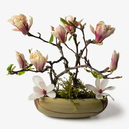 Magnolia Extract: Soothing Serenity for Stressed Skin