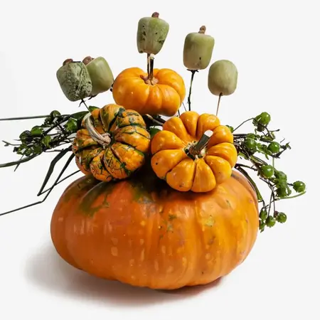 Pumpkin Extract: Revitalizing Glow with Vitamin-Rich Nourishment