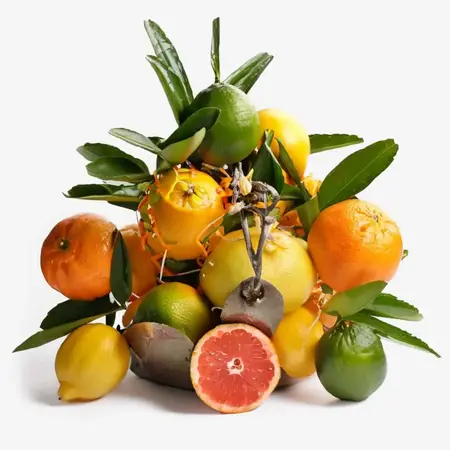 Citrus Fruits: Brightening Elixir for Even, Rejuvenated Skin