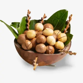 Macadamia-Nuss