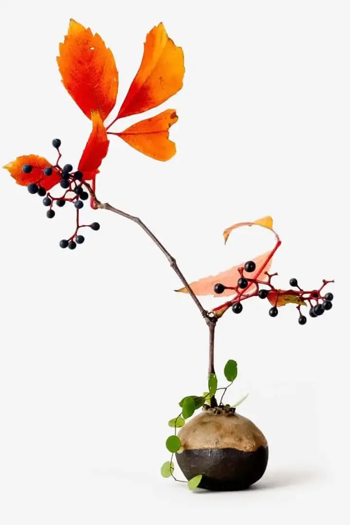 A colorful autumn arrangement featuring orange and red leaves, black berries, and green sprouts emerging from a freshly made chestnut on a white background.
