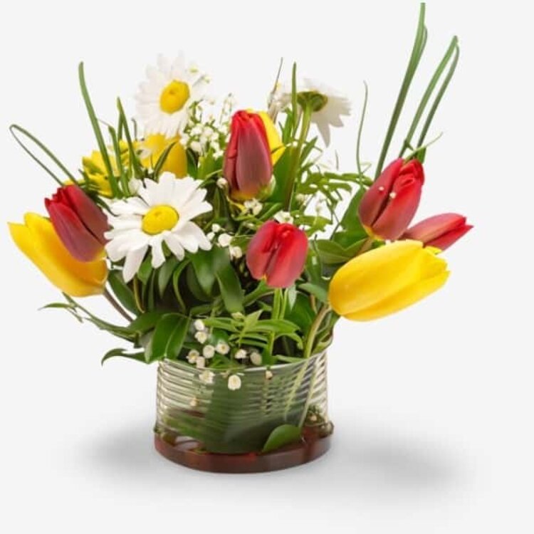 Ein farbenfrohes Blumenarrangement mit roten und gelben Tulpen, weißen Gänseblümchen und kleinen weißen Blumen in einer Glasvase, das die Vielfalt der Lebensstile widerspiegelt, die in den kuratierten Hautpflegeroutinen von Brewing Beauty enthalten sind.