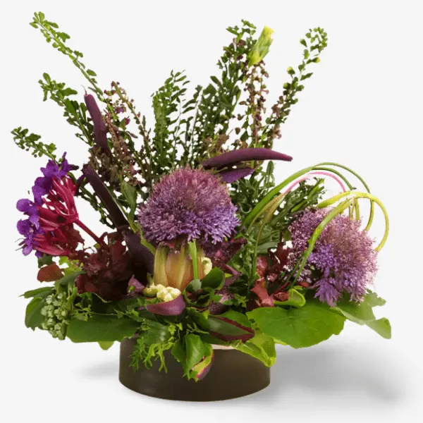 Ein lebhaftes Blumenarrangement mit violetten Blüten und grünem Laub, das die aufhellende Kraft der Anthocyane symbolisiert, die in der Radiate Hautpflegekollektion von Brewing Beauty eine zentrale Rolle spielen, präsentiert in einer dunkelbraunen Vase.