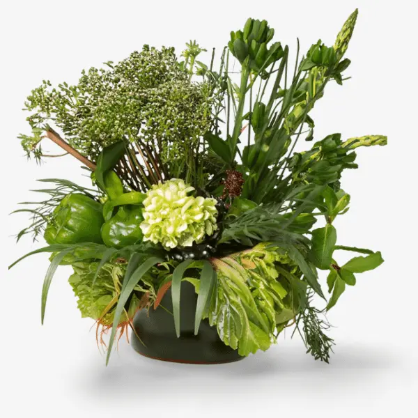 A decorative arrangement of green plants and flowers, showcasing seasonal active botanical ingredients in a dark bowl, mirroring the essence of Brewing Beauty's Depurate skincare collection, inspired by the rejuvenating properties of chlorophylls found in nature's vibrant green hues