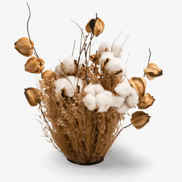 Ein dekoratives Arrangement aus getrockneten Pflanzen und Baumwollkapseln mit bioaktiven botanischen Inhaltsstoffen in einer kleinen, runden Vase, das die Essenz der Calibrate-Kollektion von Brewing Beauty darstellt. Inspiriert von Inhaltsstoffen wie Getreide-, Hafer- und Milchpeptiden, die für ihre cremig-weißen Farbtöne bekannt sind.