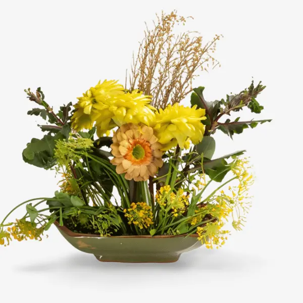 Ein farbenfrohes Ikebana-Arrangement in einer grünen Schale mit gelben Gänseblümchen, orangefarbenen Blüten und verschiedenen bioaktiven pflanzlichen Inhaltsstoffen verkörpert die Essenz der Cultivate Hautpflegekollektion von Brewing Beauty, die von den natürlichen Farben der Bioflavonoide inspiriert ist.