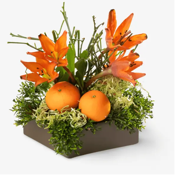 A floral arrangement featuring bright orange lilies and oranges, surrounded by green foliage rich in phytonutrients, presented in a square brown vase. Reflecting the vibrancy of Brewing Beauty's Renovate collection, inspired by the carotenoids responsible for nature's orange hues.