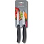 Victorinox Groentemesje & Schilmesje SwissClassic Zwart 2-Stuks