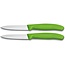 Victorinox Groentemes En Schilmes Groen