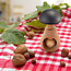 Westmark Notenkraker Holzi  Hout