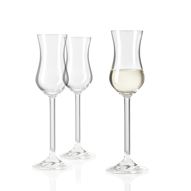 Leonardo Grappa glas Daily Set van 6 glazen