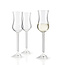 Leonardo Grappa glas Daily Set van 6 glazen