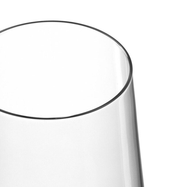 Leonardo Champagneglas Puccini 280ml - 6 Stuks