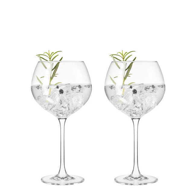 Leonardo Gin Tonic Gin 630ml - 2 Stuks