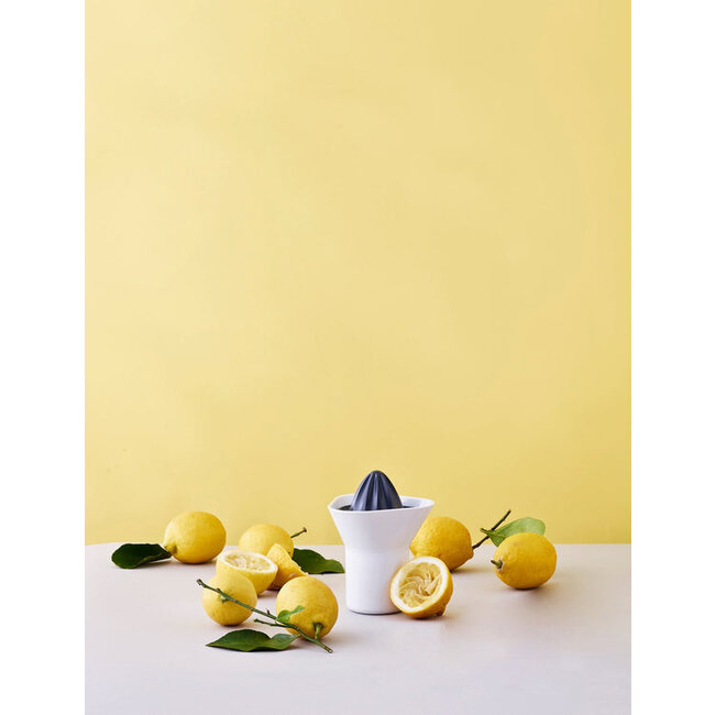 Rig-tig Citruspers Grijs / Wit 0,33L