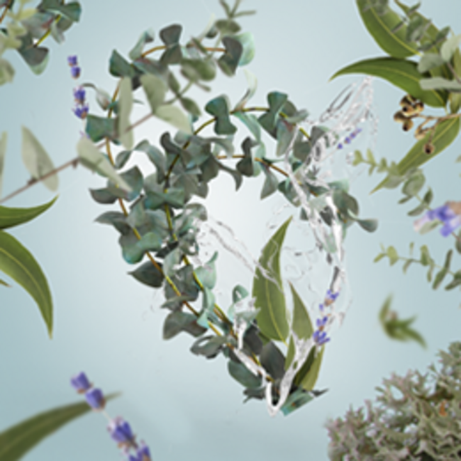 Lampe Berger Navulling Fresh Eucalyptus 500ml