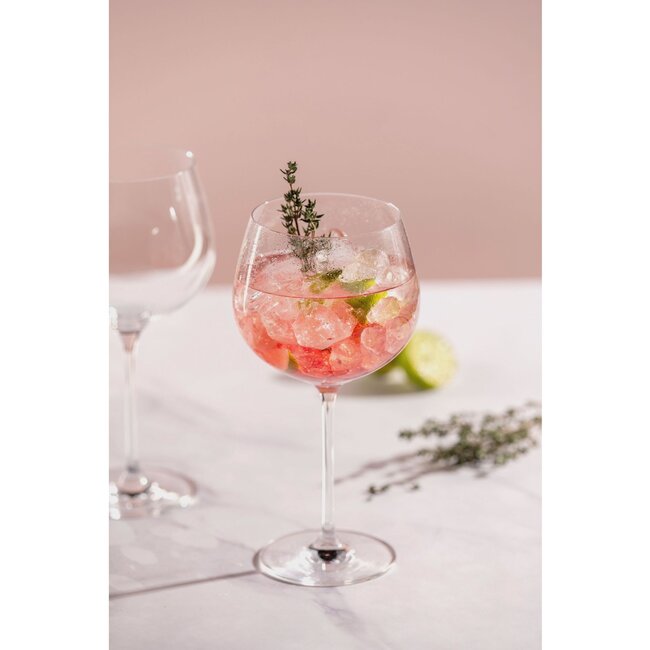 Leonardo Gin Tonic Glazen Mondo Inhoud: 750ml - Set met 2 glazen