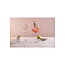 Leonardo Gin Tonic Glazen Mondo Inhoud: 750ml - Set met 2 glazen