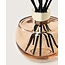 Maison Berger Geurstokjes Geschenkset Holly Nude – Inclusief 180 ml Huisparfum Amber Powder