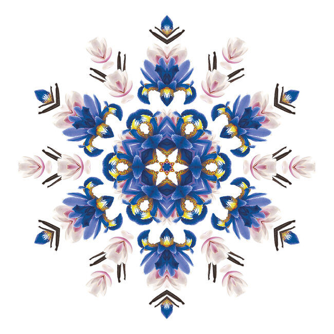 Maison Berger Parfumverspreider Geurstokjes Cube Liliflora