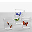 Ichendorf Milano Garden Picnic Waterglas – Met Rode Glazen Vlinder – Handgeblazen