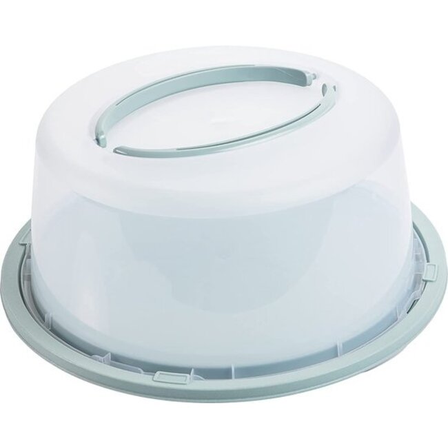 Taart Bewaardoos Kunststof 34 x 15 cm