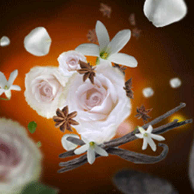 Lampe Berger Navulling Geurbrander Aroma Relax 1L