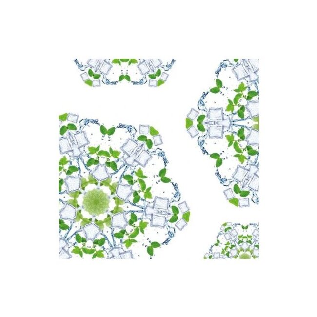 Maison Berger Autoparfum Diffuser Startersset Summer Water Mint