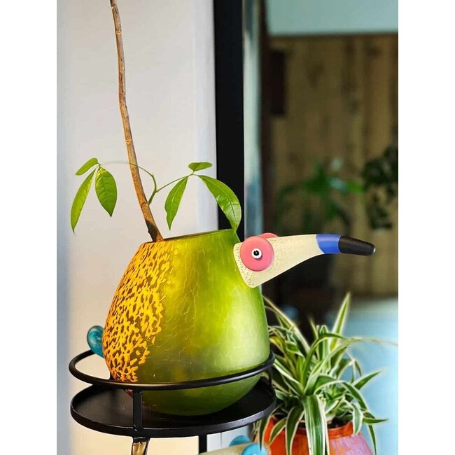 Borowski Vaas Pico Groen/Oranje