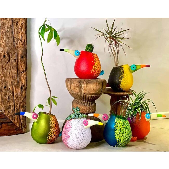 Borowski Vaas Pico Groen/Oranje