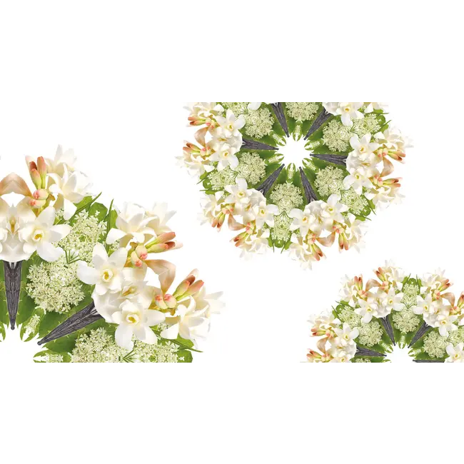 Maison Berger Navulling Geurstokjes Angélique Noire / Black Angelica 200ml