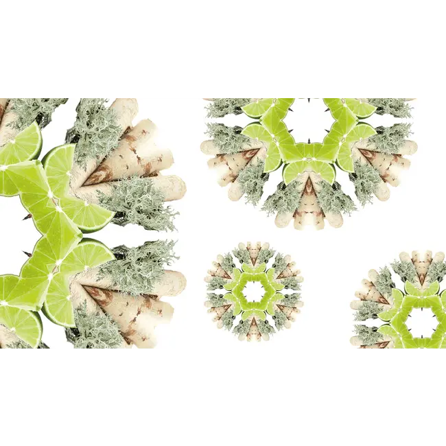 Lampe Berger Navulling Terre Sauvage - Wilderness 500ml