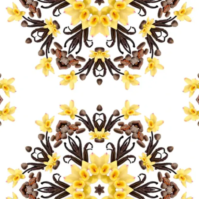 Lampe Berger Navulling Geurbrander Vanille Gourmet 1 Liter