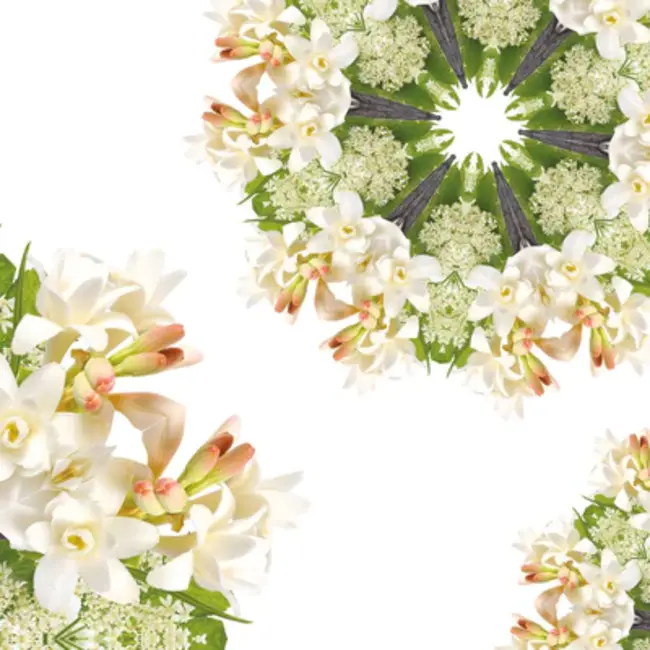 Lampe Berger Navulling Geurbrander Angelique Noire / Black Angelica 1 liter