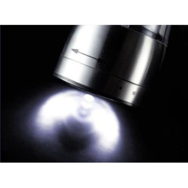 Westmark Kruidenmolen RVS Elektrisch