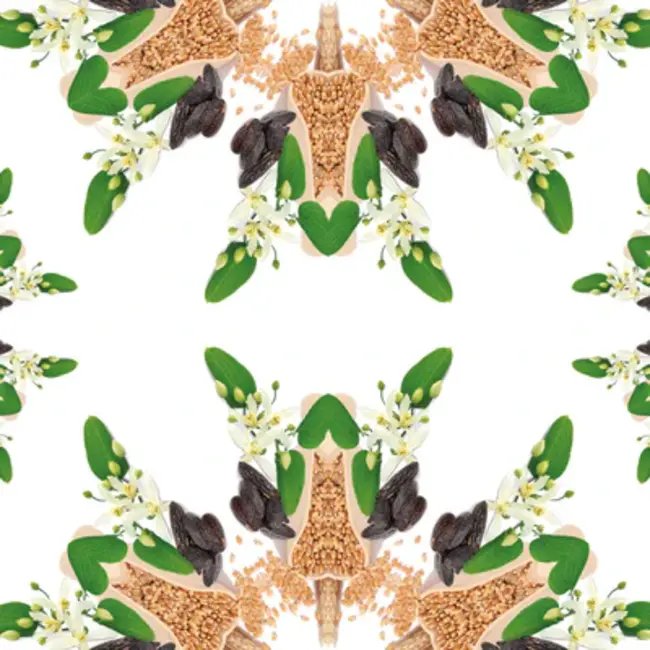 Lampe Berger Navulling geurbrander Blé d'Or / Golden Wheat 500ml