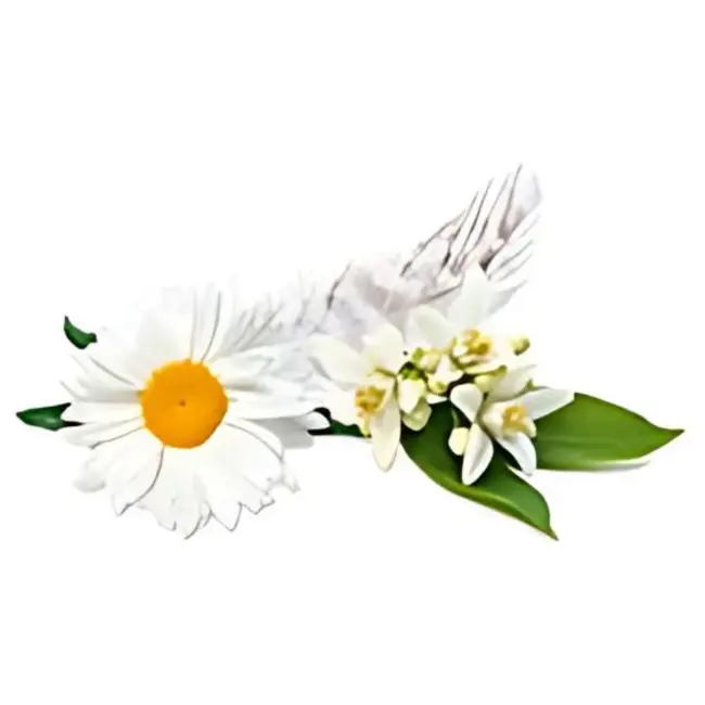 Lampe Berger Navulling Geurbrander Musc Cocoon / Cozy Musk 1L