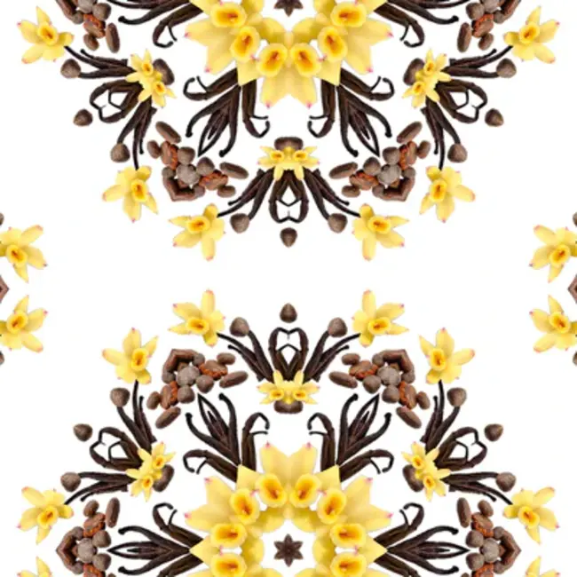 Lampe Berger Navulling Huisparfum Geurbrander Vanilla Gourmet 500ml