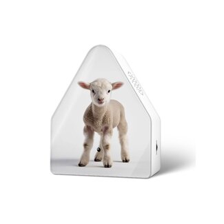 Relaxound Heidibox Baby Sheep Limited Edition